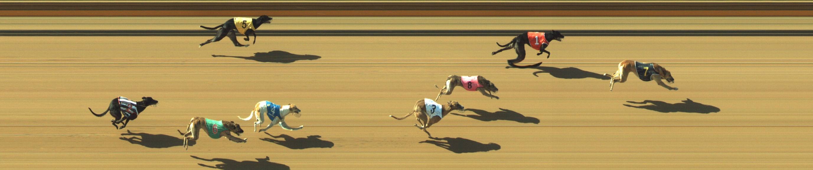 Photo finish for Geelong Race 7