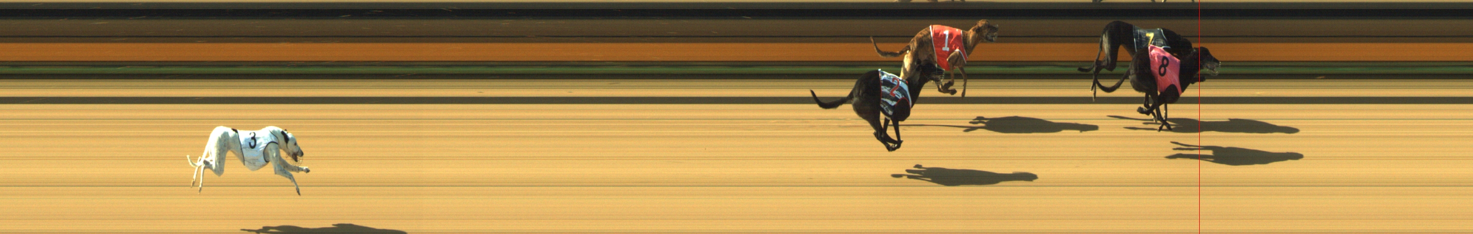 Photo finish for Geelong Race 8