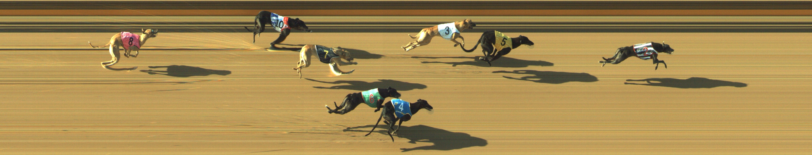 Photo finish for Geelong Race 9