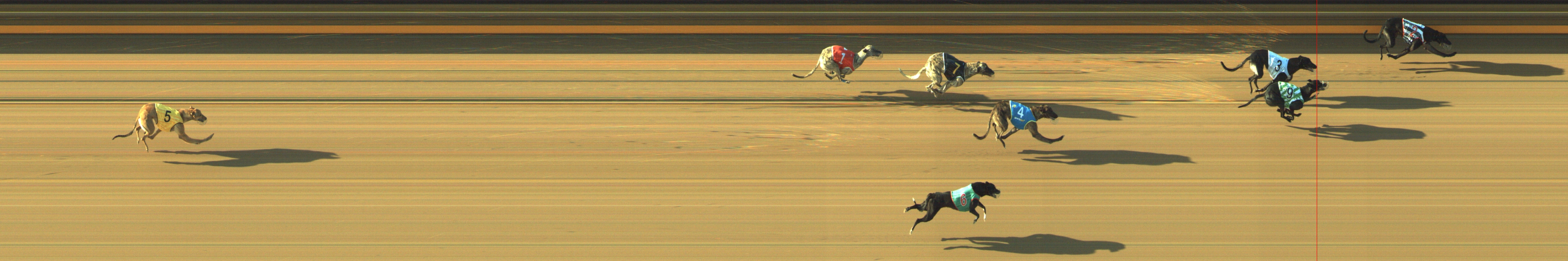 Photo finish for Geelong Race 10