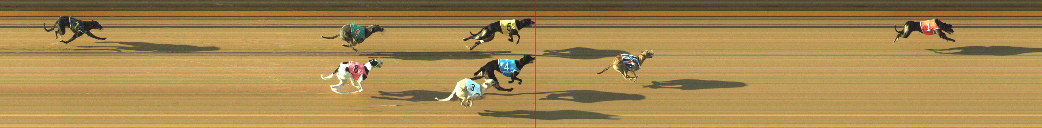 Photo finish for Geelong Race 11
