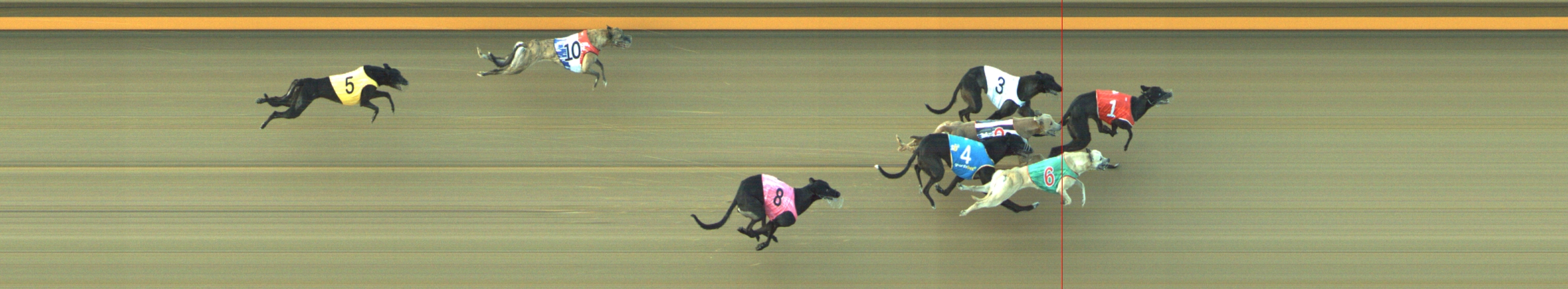 Photo finish for Geelong Race 12