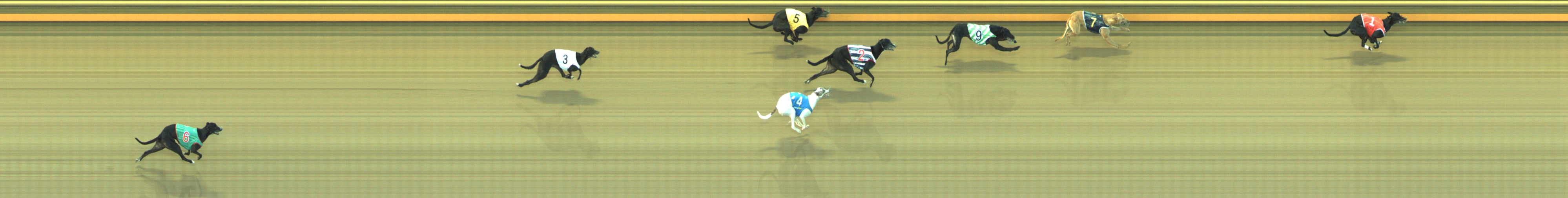 Photo finish for Geelong Race 13
