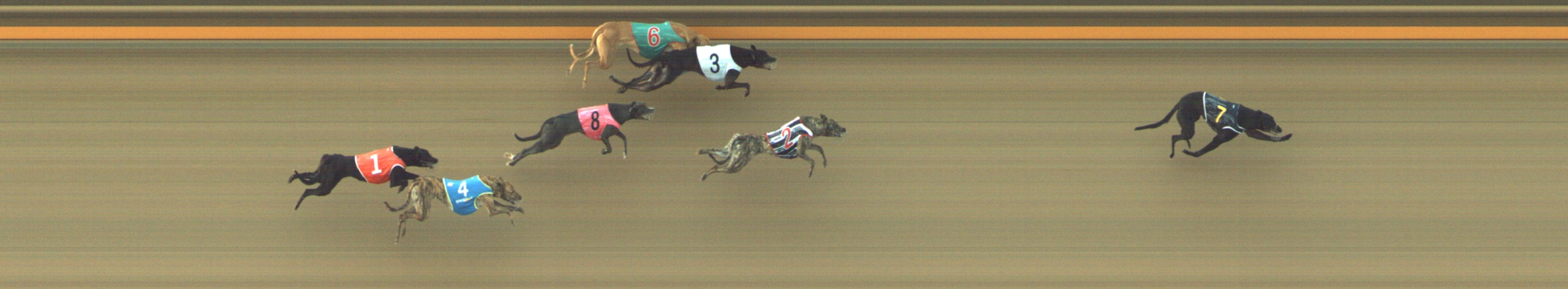 Photo finish for Geelong Race 2