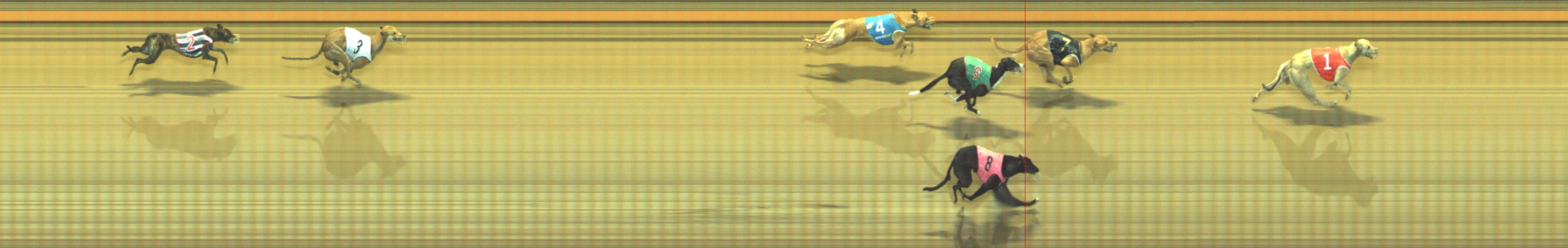 Photo finish for Geelong Race 3