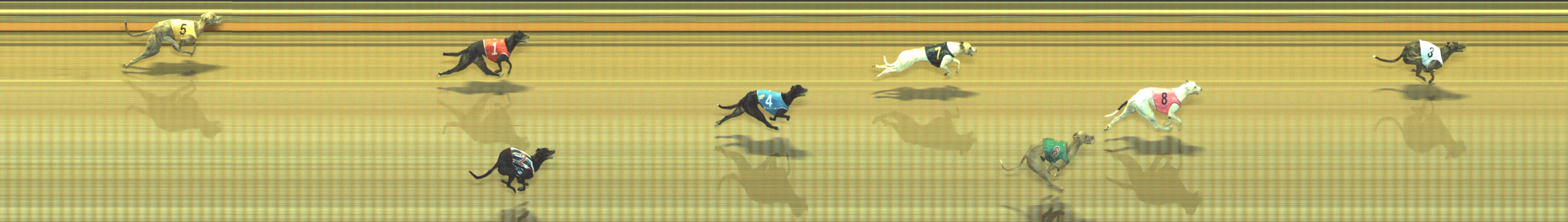 Photo finish for Geelong Race 4