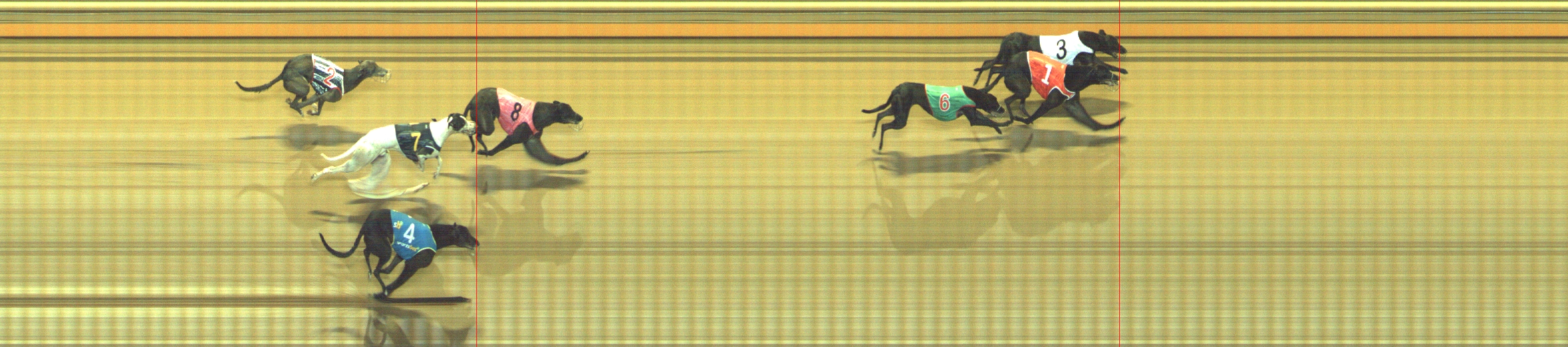 Photo finish for Geelong Race 5