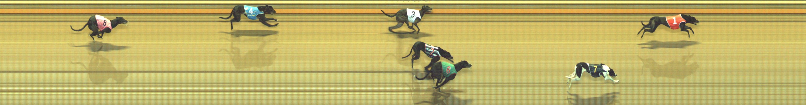 Photo finish for Geelong Race 6