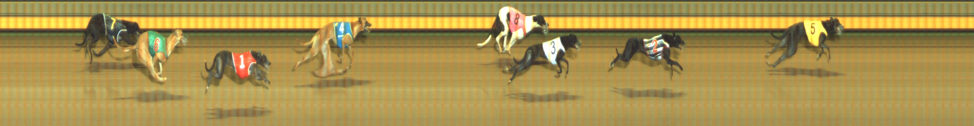 Photo finish for Geelong Race 8