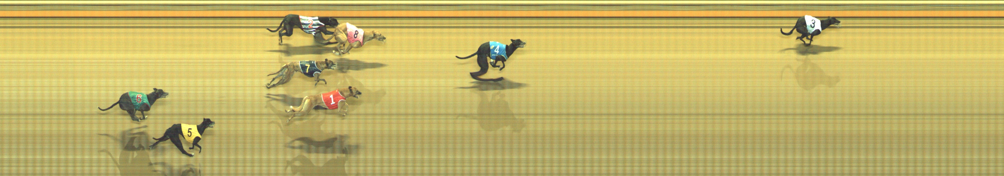 Photo finish for Geelong Race 9