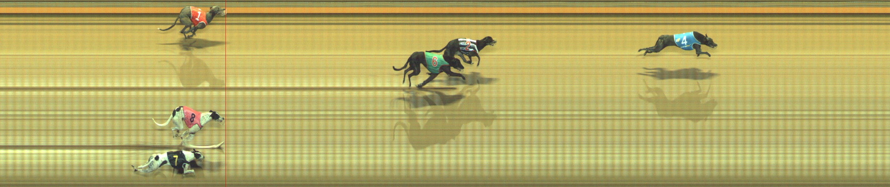 Photo finish for Geelong Race 10