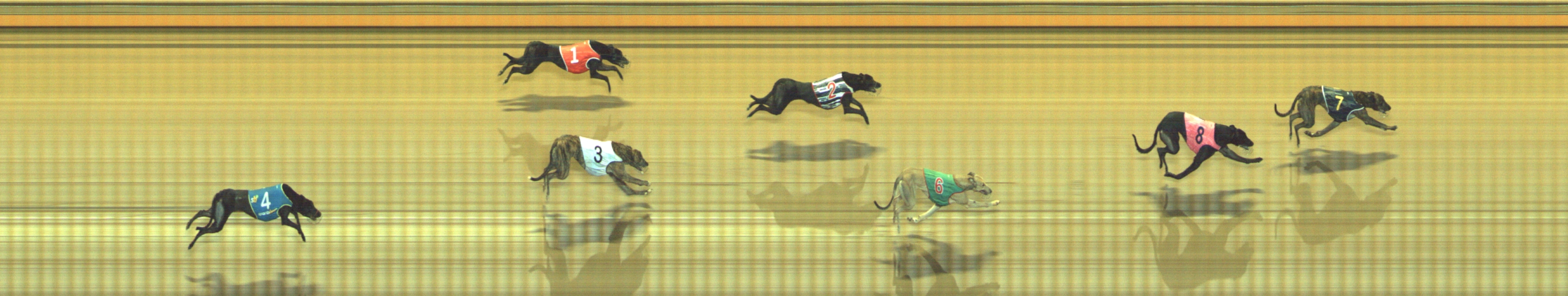 Photo finish for Geelong Race 11