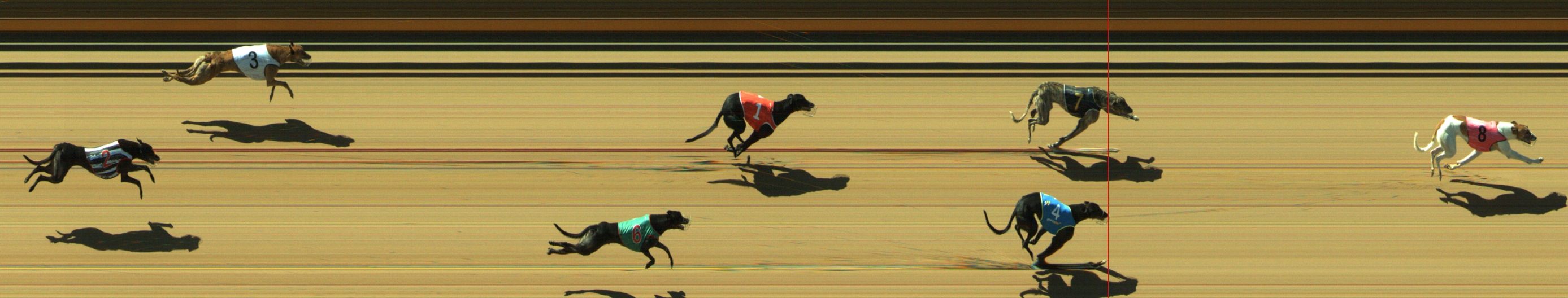 Photo finish for Geelong Race 2