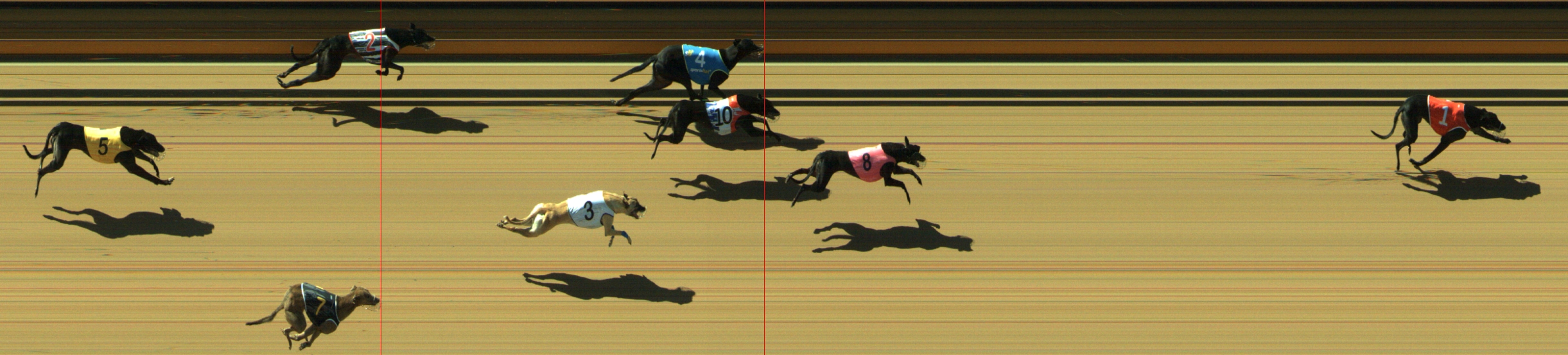 Photo finish for Geelong Race 3