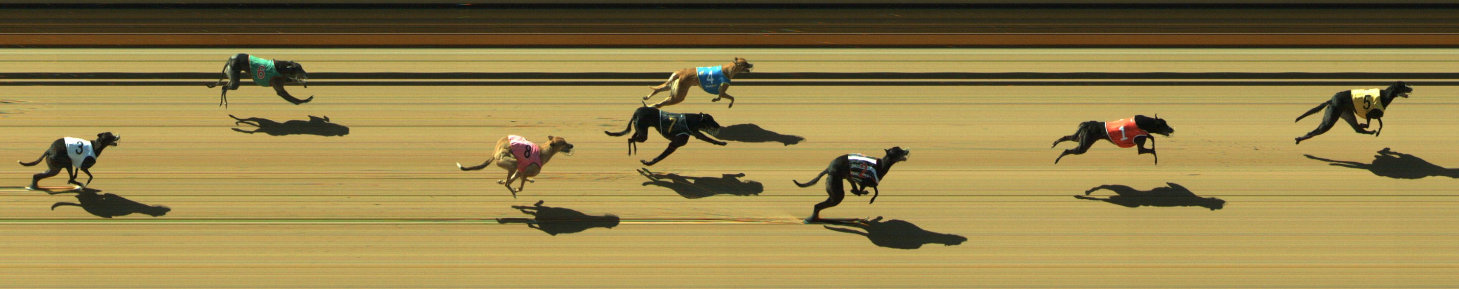 Photo finish for Geelong Race 4