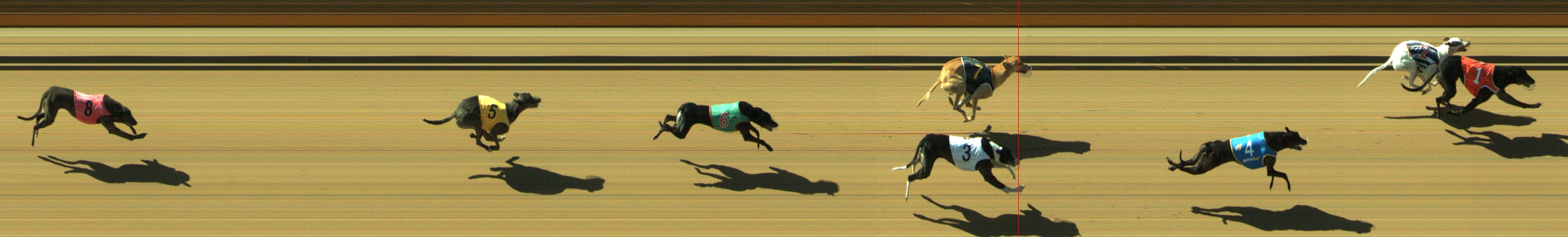 Photo finish for Geelong Race 5