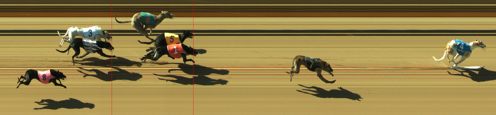 Photo finish for Geelong Race 6