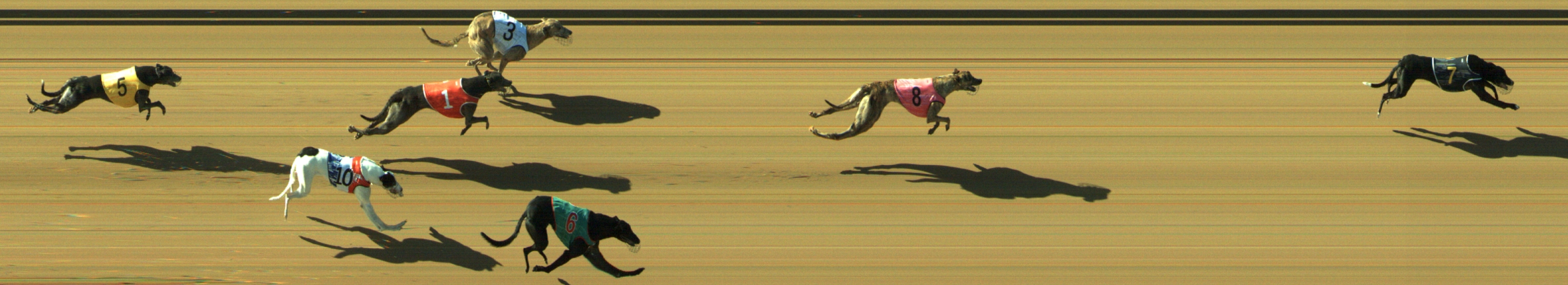 Photo finish for Geelong Race 7