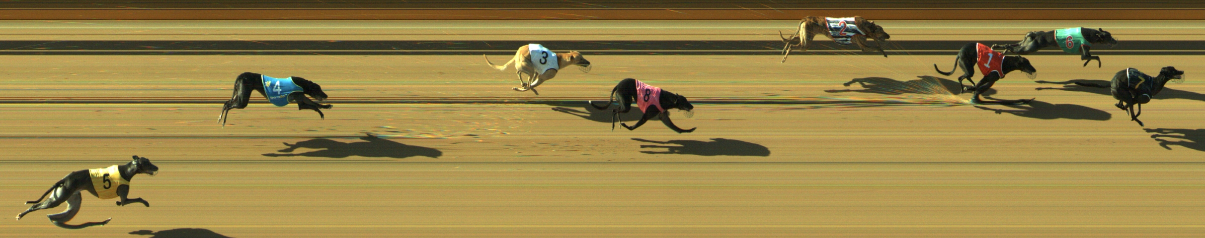 Photo finish for Geelong Race 8