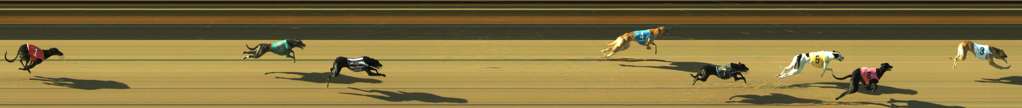 Photo finish for Geelong Race 9