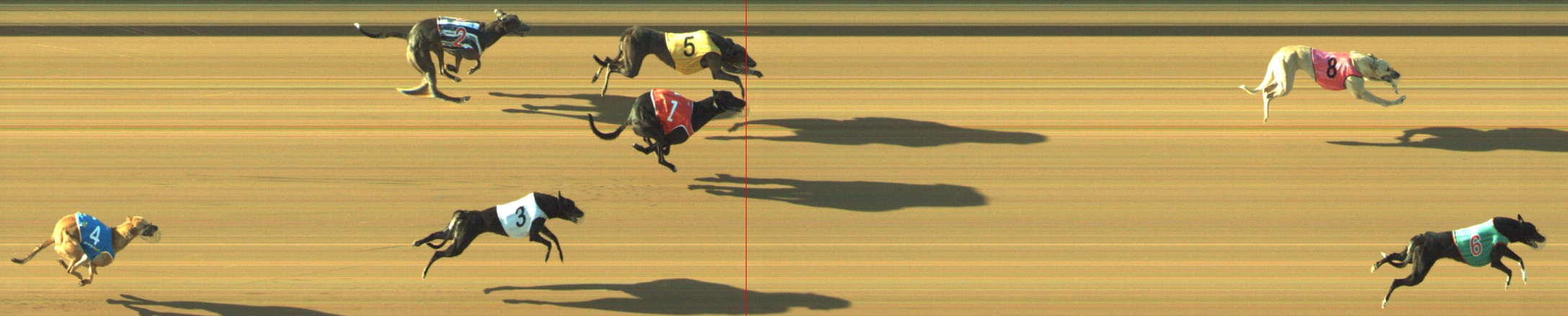 Photo finish for Geelong Race 10