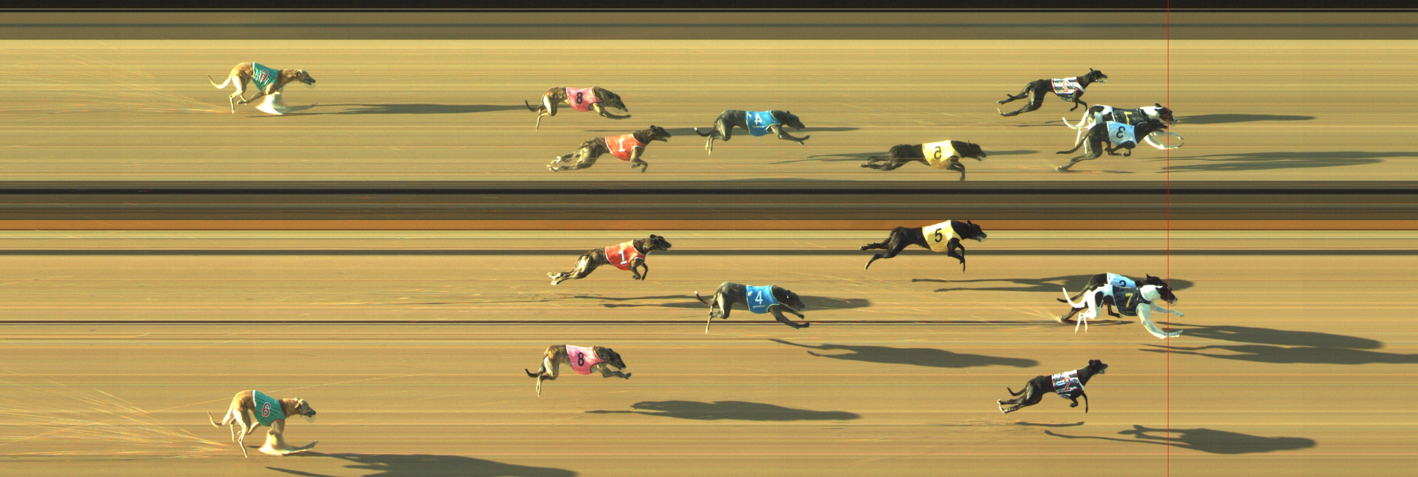 Photo finish for Geelong Race 11