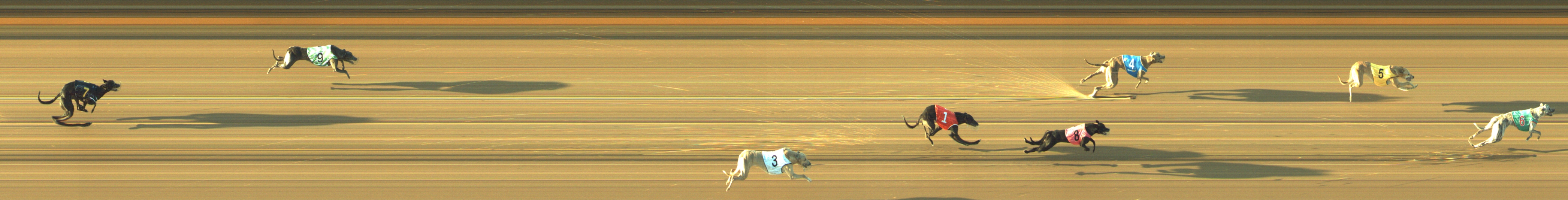 Photo finish for Geelong Race 12