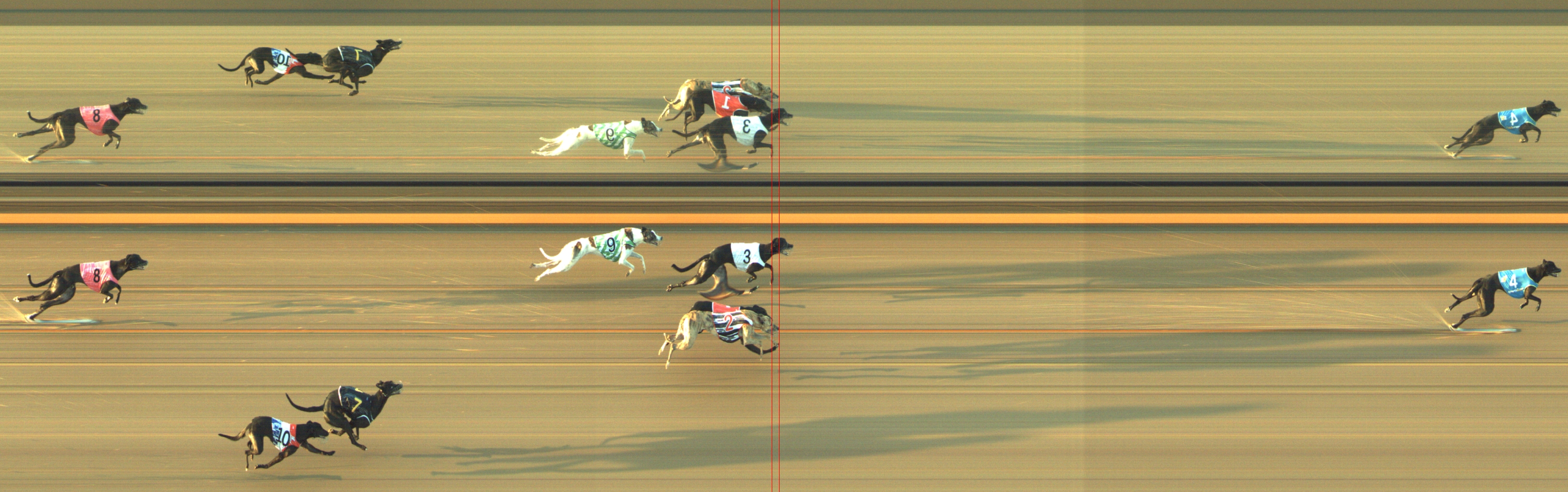 Photo finish for Geelong Race 13