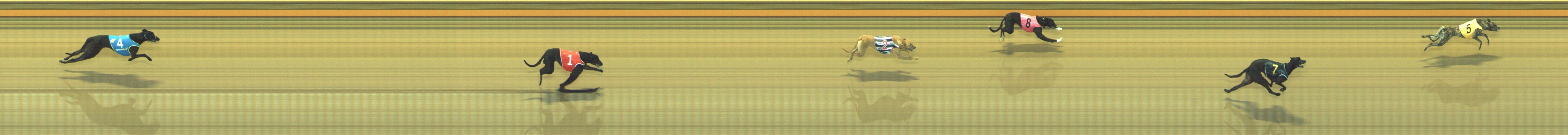 Photo finish for Geelong Race 2
