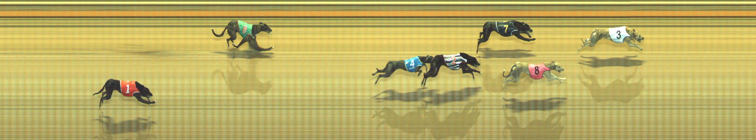 Photo finish for Geelong Race 3