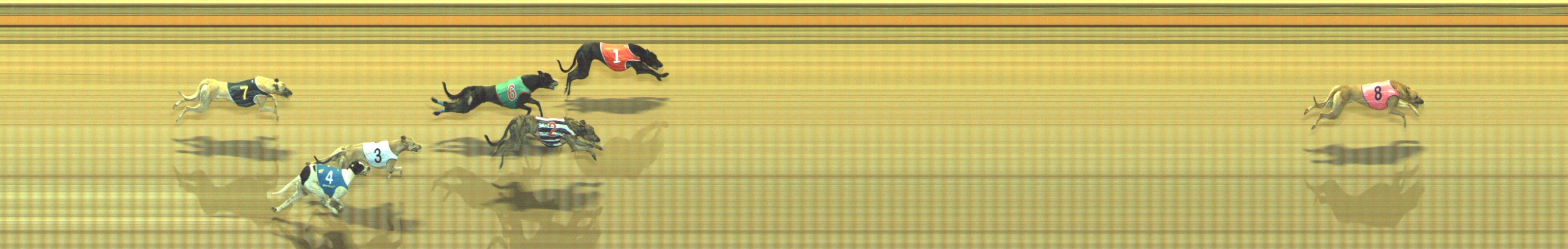 Photo finish for Geelong Race 4
