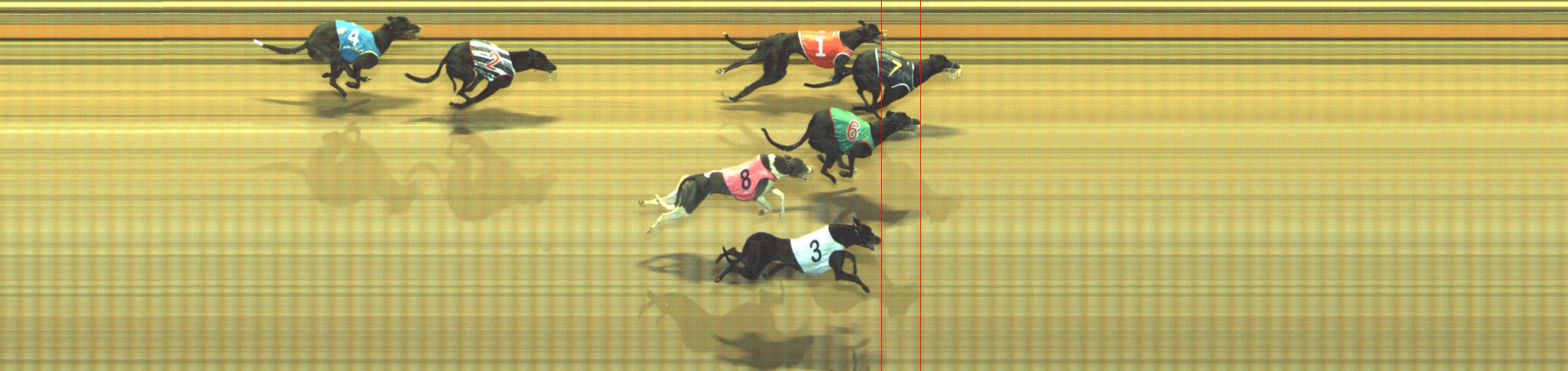 Race result finish photo