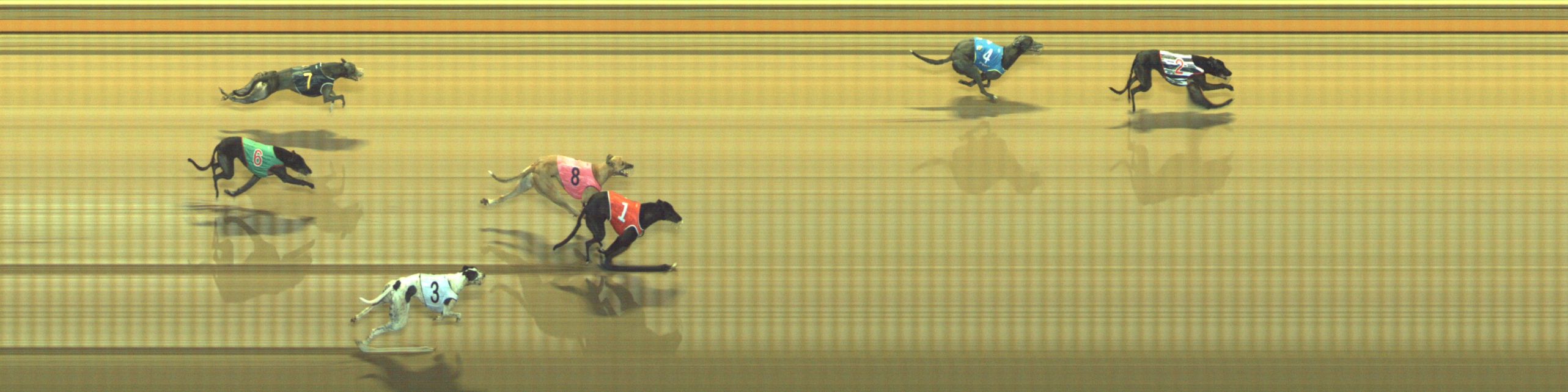 Race result finish photo