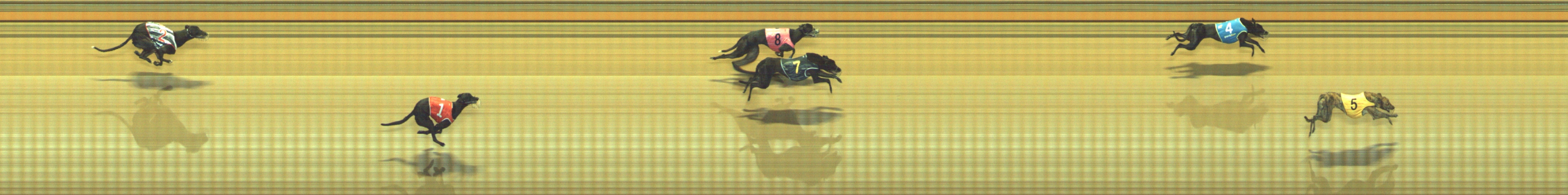 Photo finish for Geelong Race 9