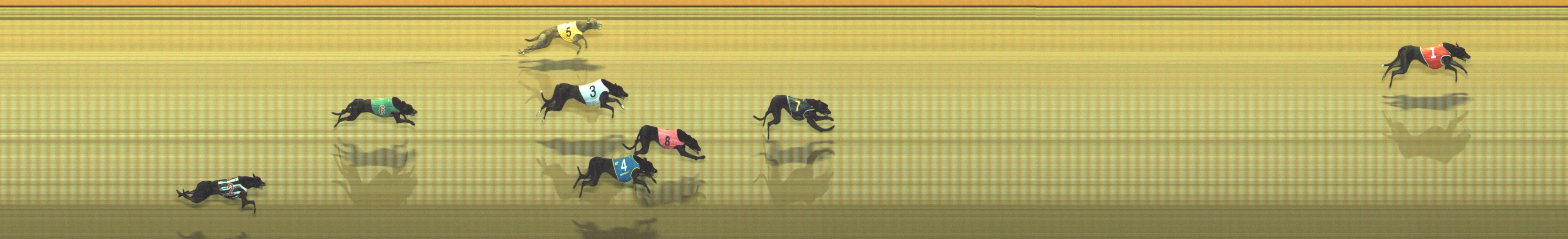 Race result finish photo