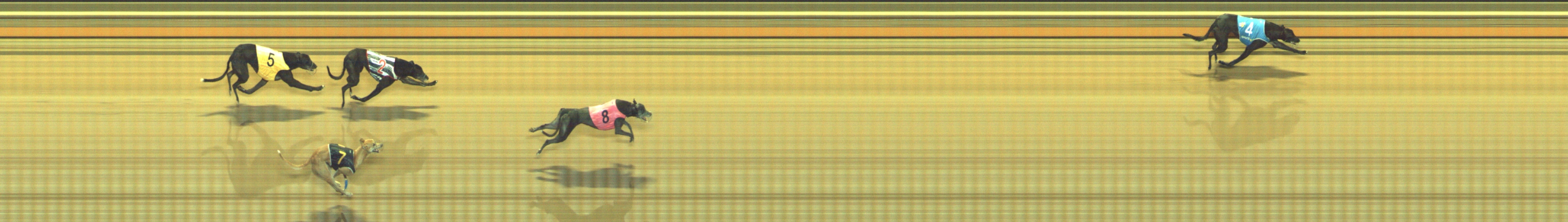 Photo finish for Geelong Race 11