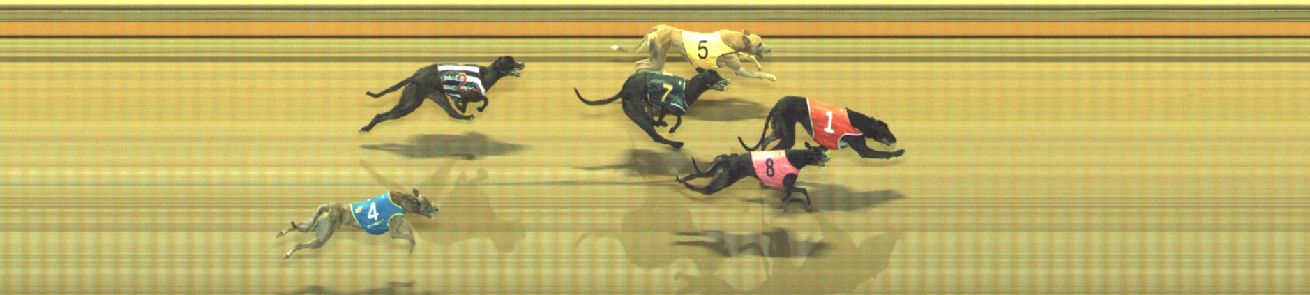Photo finish for Geelong Race 12