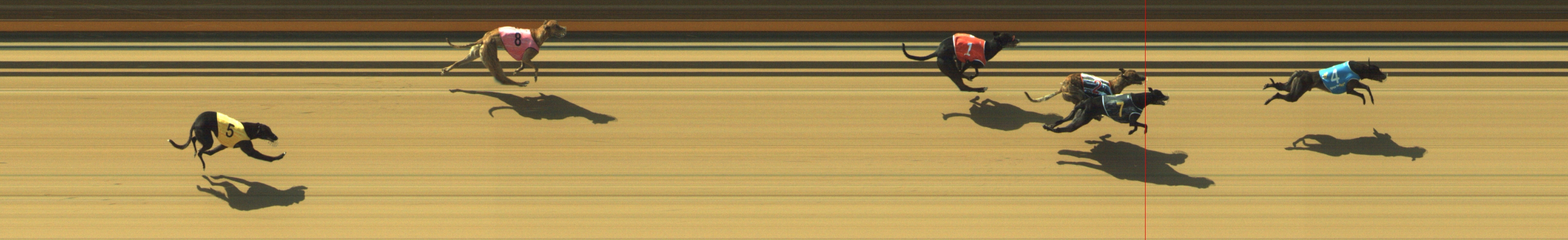 Photo finish for Geelong Race 2