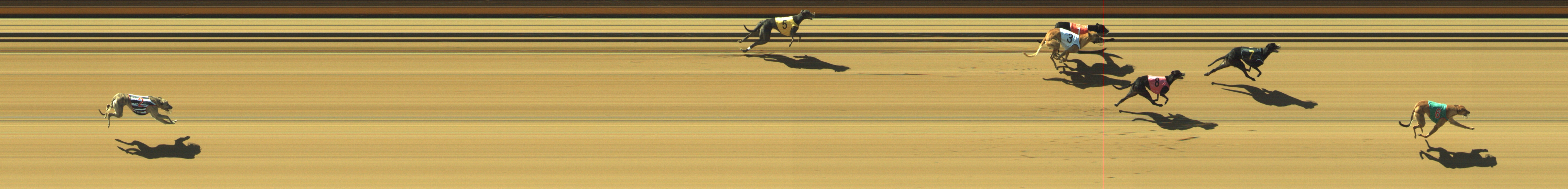 Photo finish for Geelong Race 3