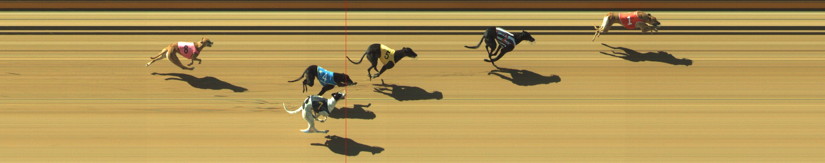 Photo finish for Geelong Race 4