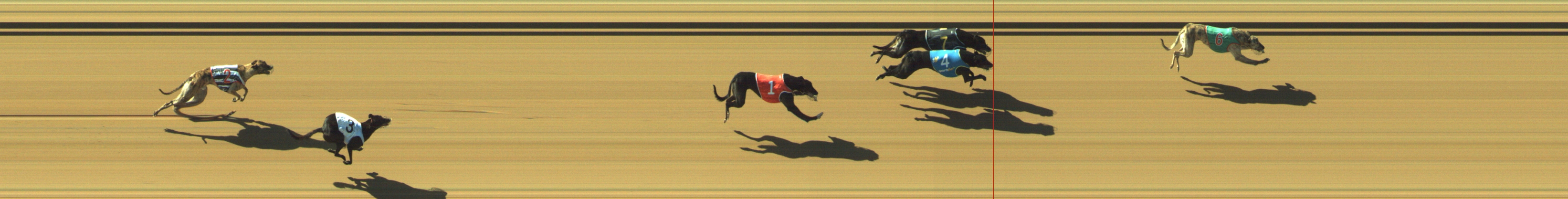 Photo finish for Geelong Race 5
