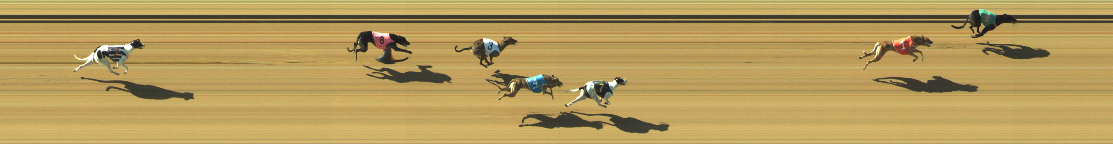 Photo finish for Geelong Race 6