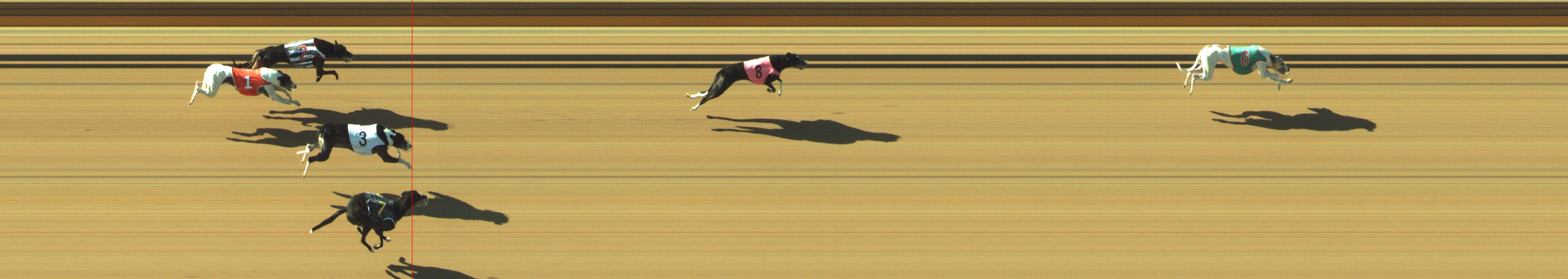 Photo finish for Geelong Race 7