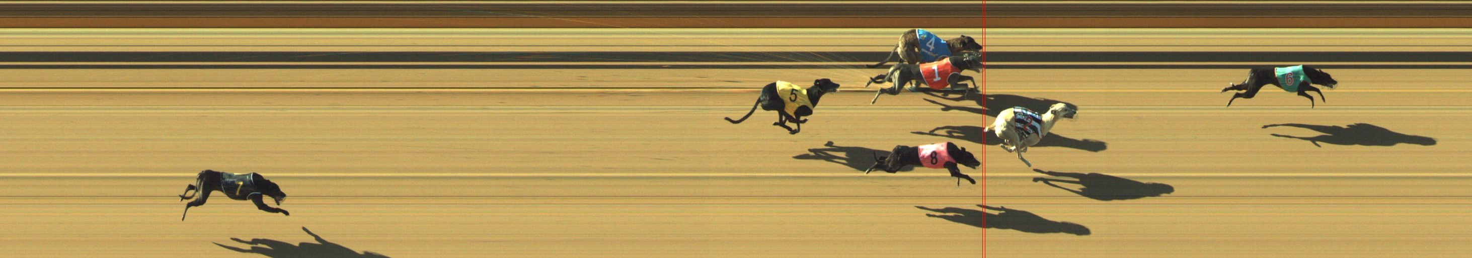 Photo finish for Geelong Race 8