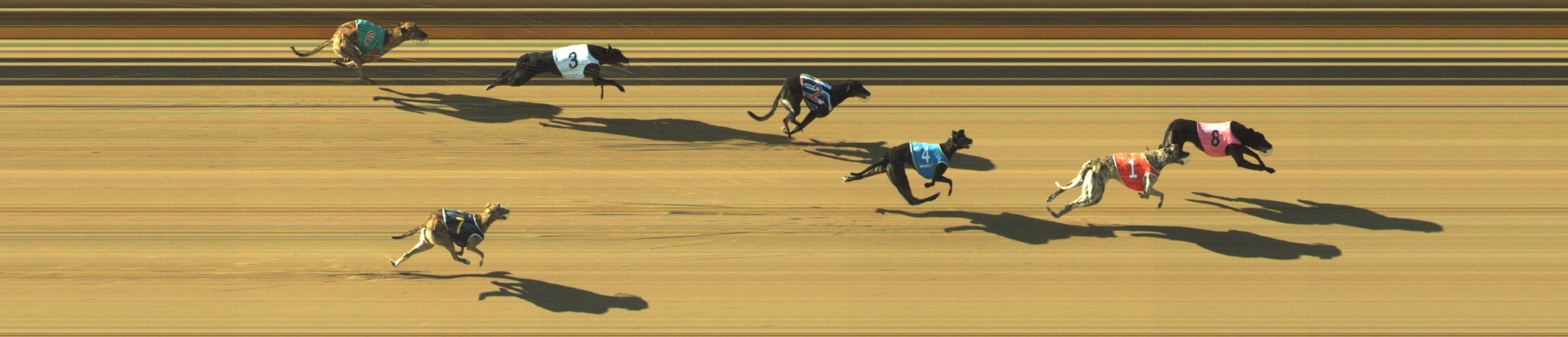 Photo finish for Geelong Race 9