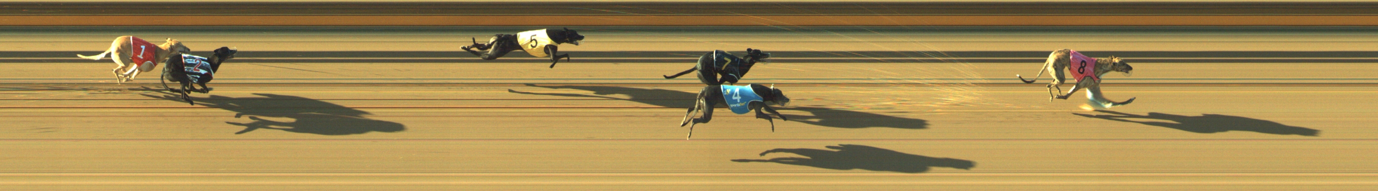 Photo finish for Geelong Race 10