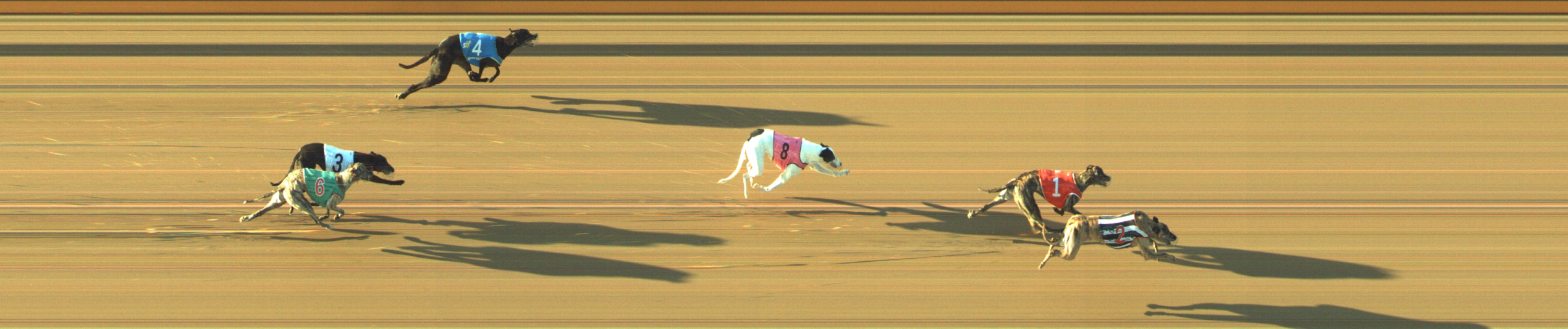 Photo finish for Geelong Race 11
