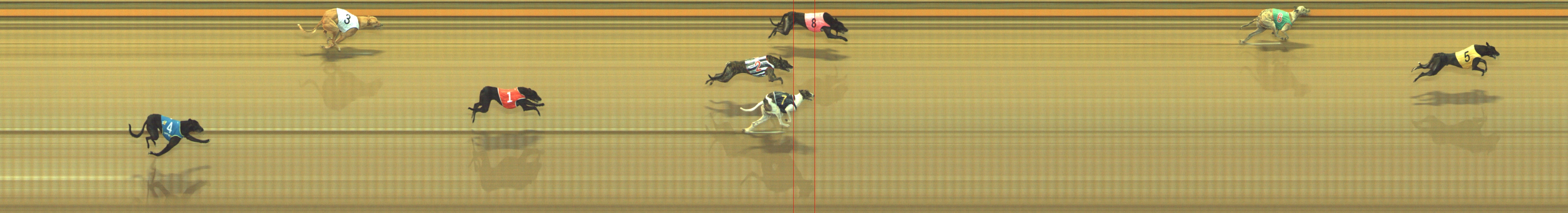 Race result finish photo