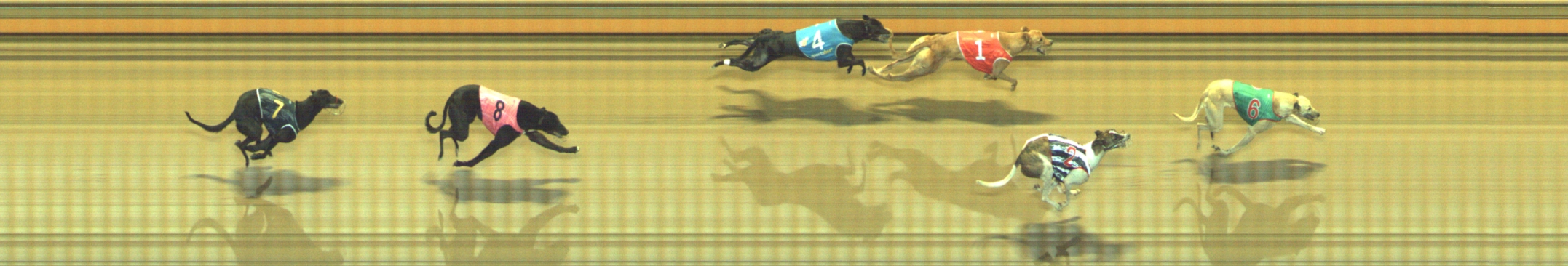 Race result finish photo