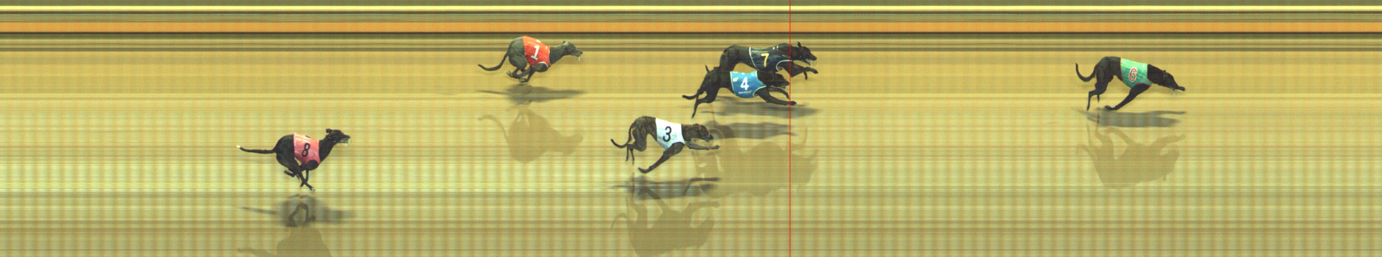 Race result finish photo